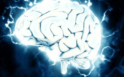 Rewire Mental Habits: How CBT Transforms Thought Into Change